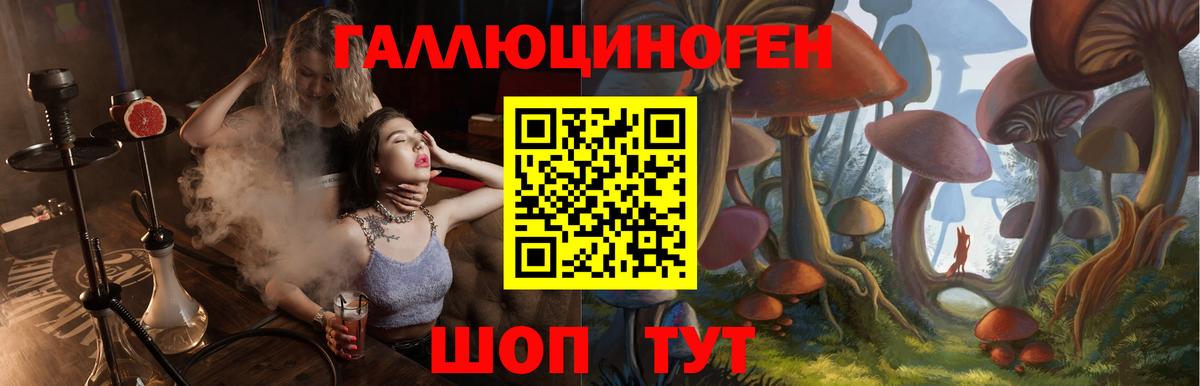 Галлюциногенные грибы мицелий Тихвин